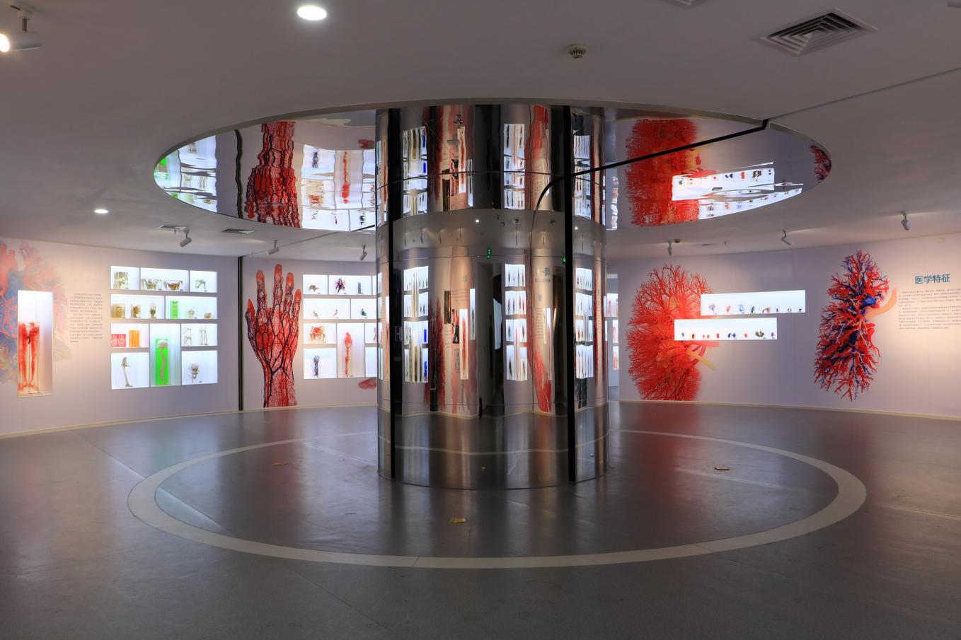 南方医科大学人体科学馆精品展区