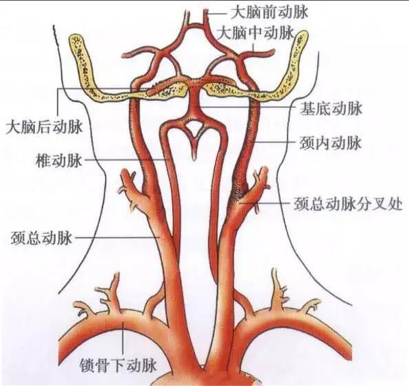 【援疆风采】三附院周忠信：精准救治高位颈椎术后椎动脉破裂出血合并巨大假性动脉瘤患者