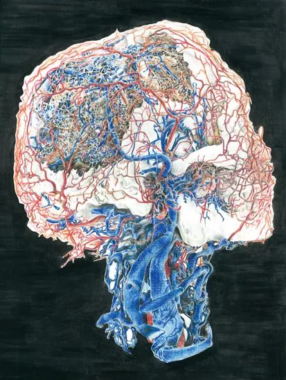 图集我校第六届人体解剖绘图大赛获奖作品