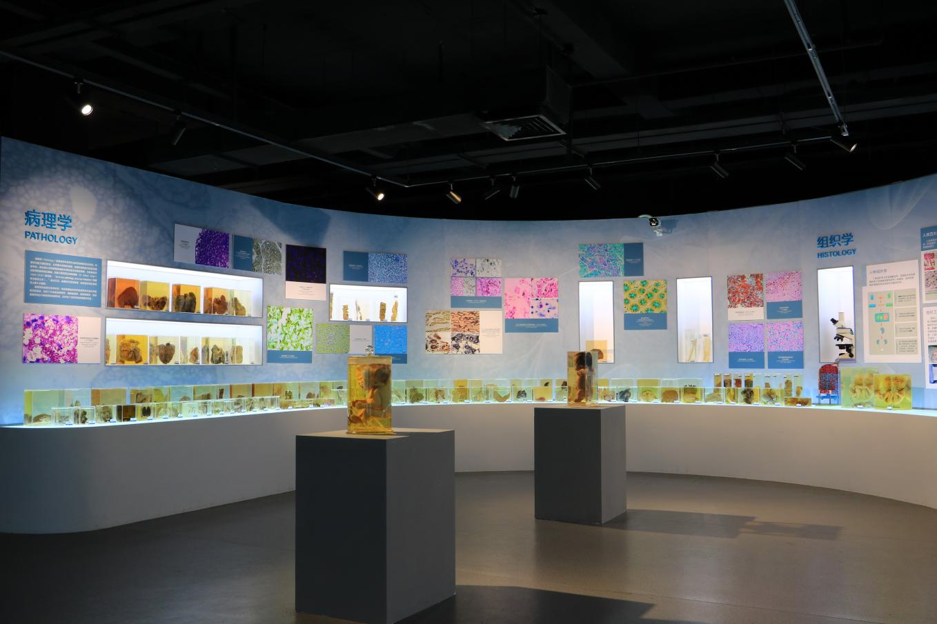南方医科大学人体科学馆病理、组胚标本展区