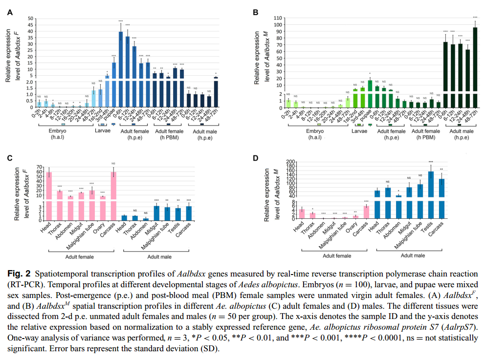 Alternative Splicing Patterns Of Doublesex Reveal A Missing Link